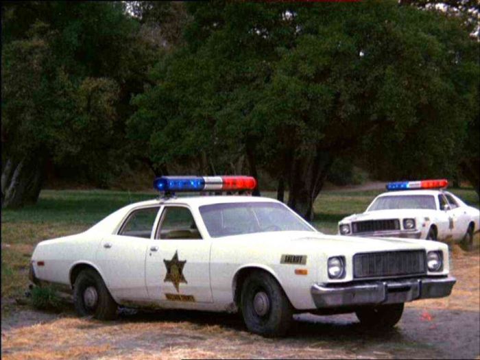 Police Cars (74 pics)