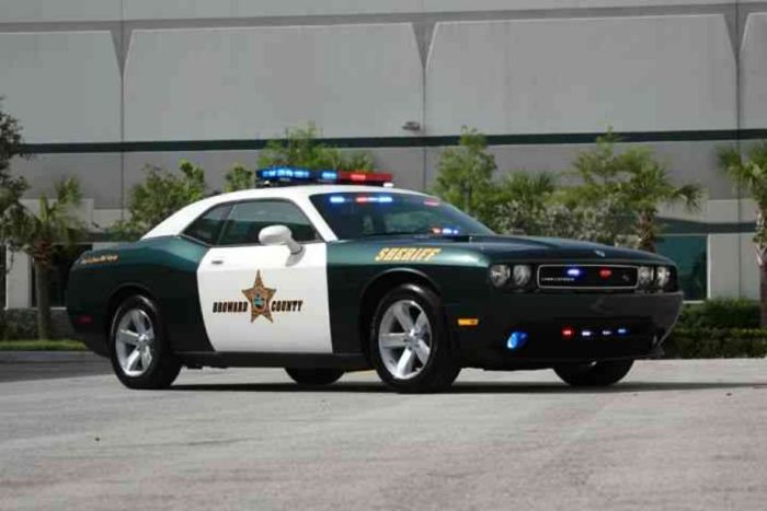 Police Cars (74 pics)