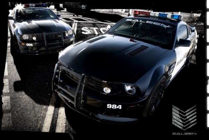 Police Cars (74 pics)