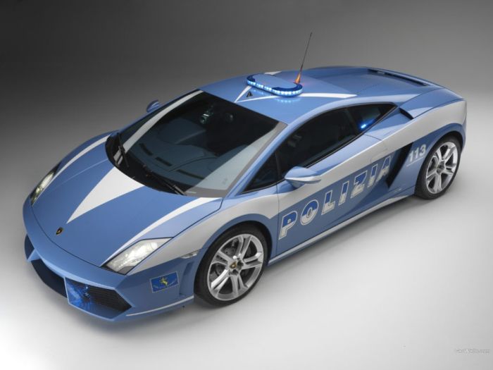 Police Cars (74 pics)