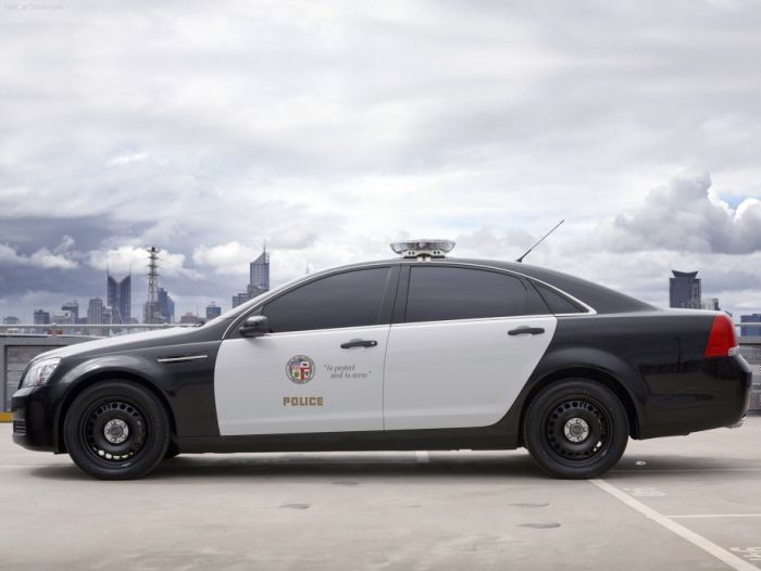 Police Cars (74 pics)