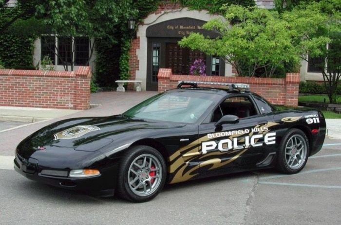Police Cars (74 pics)