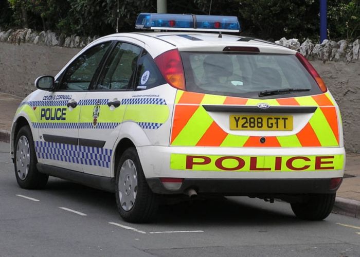 Police Cars (74 pics)