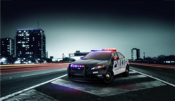 Police Cars (74 pics)