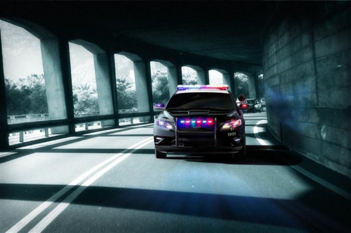 Police Cars (74 pics)