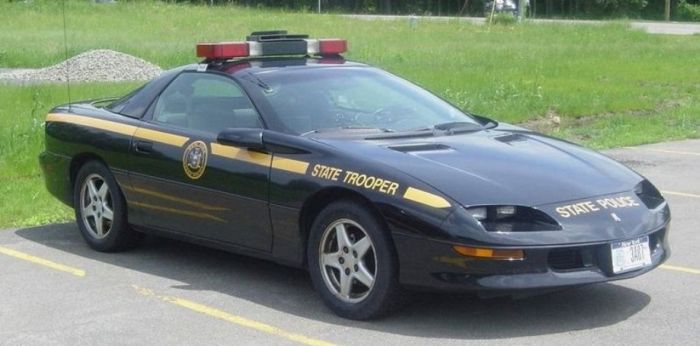 Police Cars (74 pics)