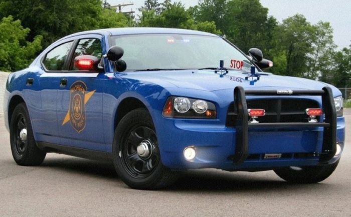 Police Cars (74 pics)