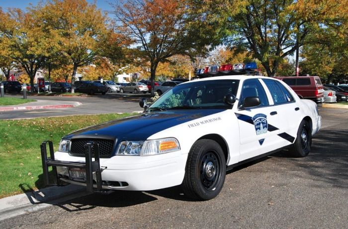 Police Cars (74 pics)