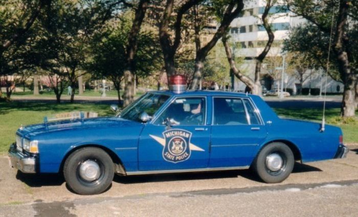 Police Cars (74 pics)