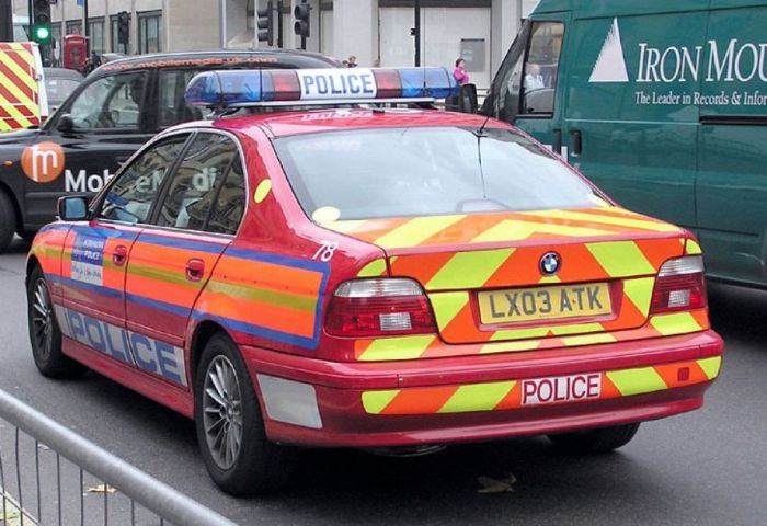 Police Cars (74 pics)