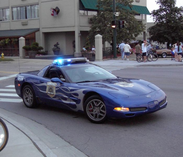 Police Cars (74 pics)