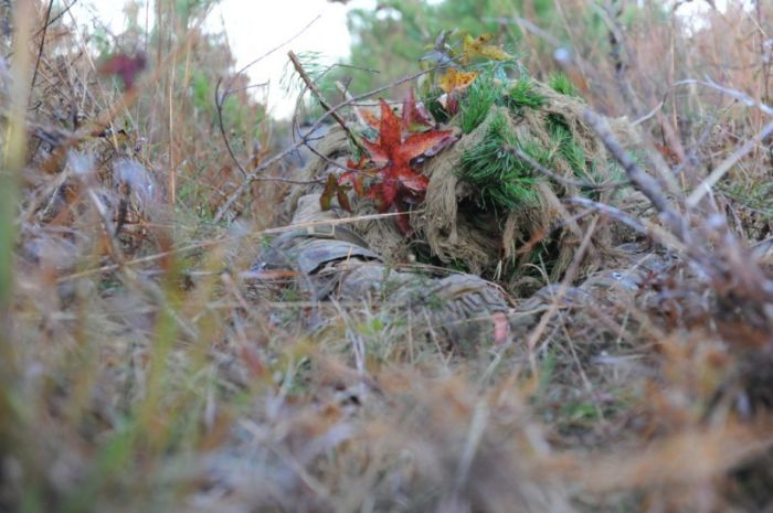 Military Camouflage (84 pics)