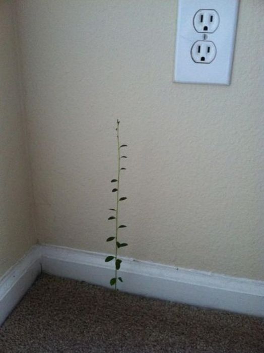 Epic Fails. Part 32 (56 pics)
