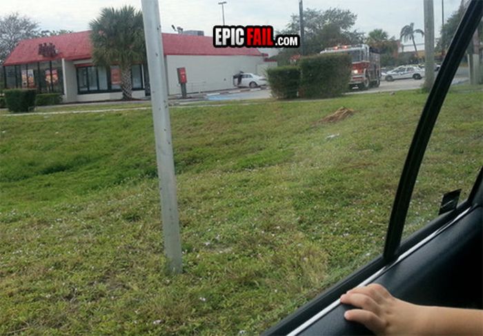Epic Fails. Part 32 (56 pics)