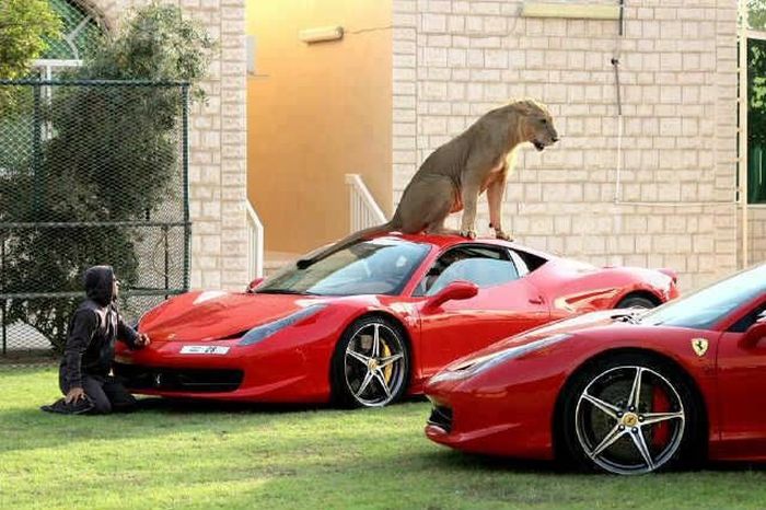 Epic Fails. Part 32 (56 pics)