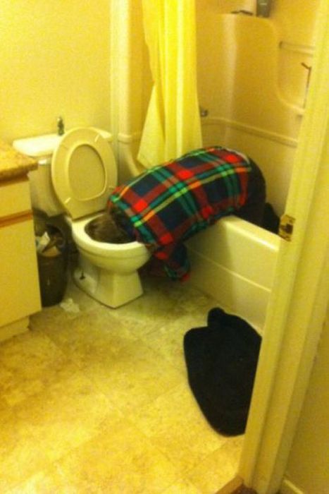 Epic Fails. Part 32 (56 pics)