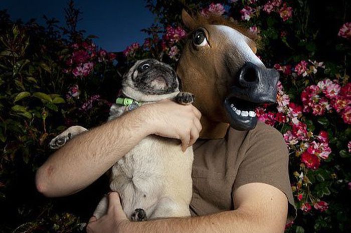 Just Horsing Around (41 pics)