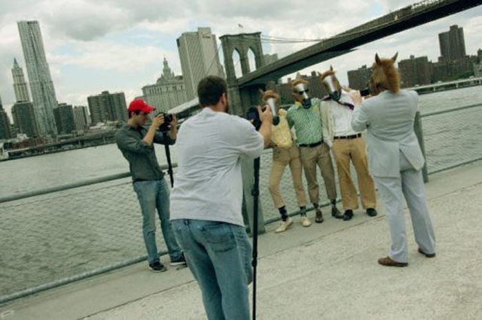 Just Horsing Around (41 pics)
