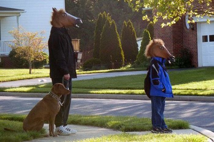 Just Horsing Around (41 pics)