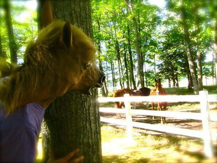 Just Horsing Around (41 pics)
