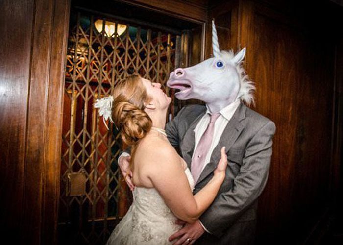 Just Horsing Around (41 pics)