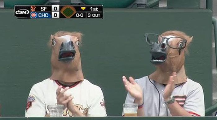 Just Horsing Around (41 pics)
