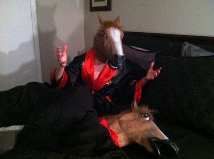 Just Horsing Around (41 pics)