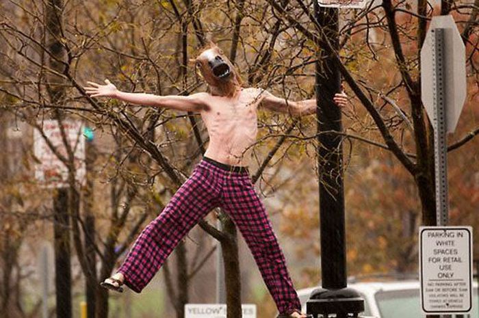 Just Horsing Around (41 pics)