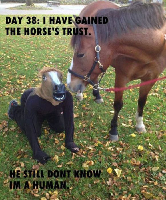 Just Horsing Around (41 pics)