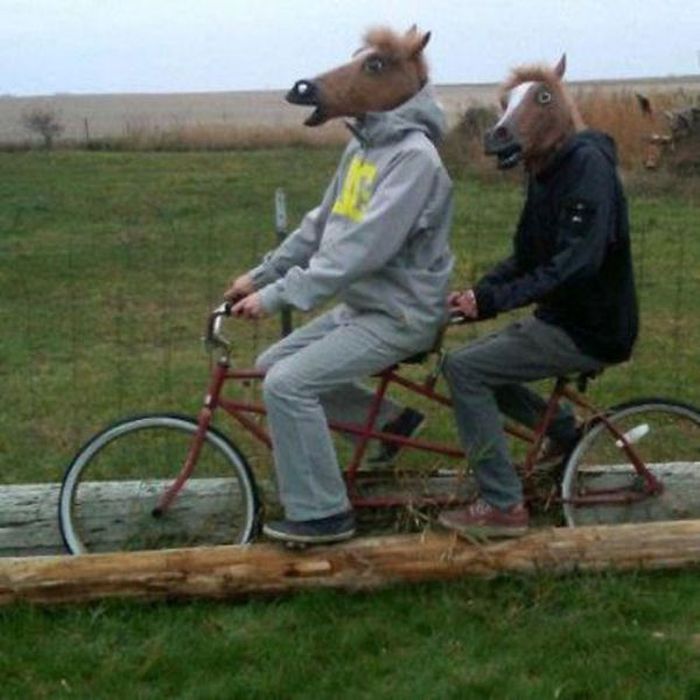 Just Horsing Around (41 pics)