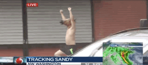 Just Horsing Around (41 pics)