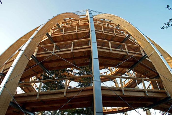 The Longest Tree Top Walk in the World (18 pics)