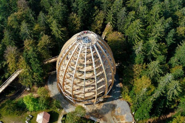 The Longest Tree Top Walk in the World (18 pics)