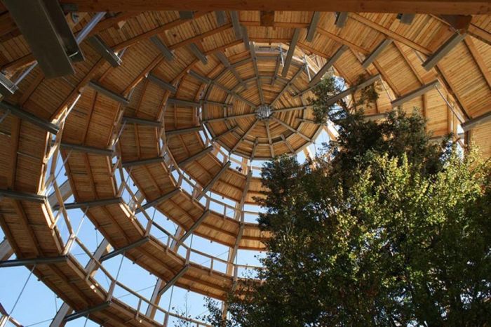 The Longest Tree Top Walk in the World (18 pics)