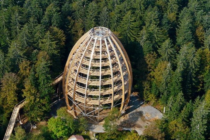 The Longest Tree Top Walk in the World (18 pics)