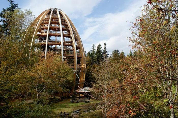 The Longest Tree Top Walk in the World (18 pics)
