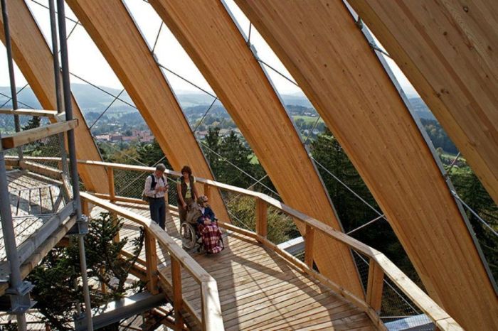 The Longest Tree Top Walk in the World (18 pics)