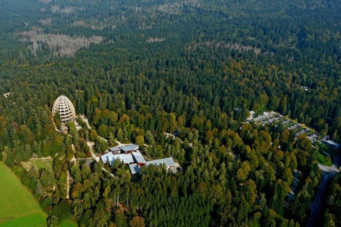 The Longest Tree Top Walk in the World (18 pics)