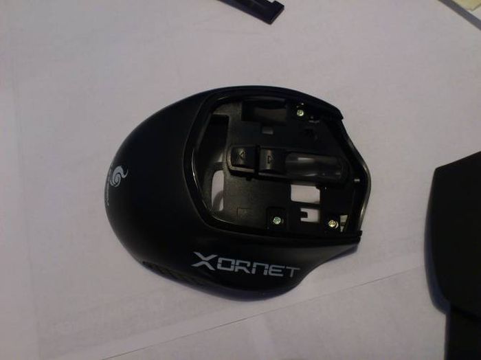 Alien PC Mouse (29 pics)