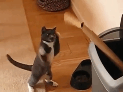 Acid Gifdump (22 gifs)