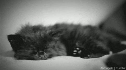 Acid Gifdump (22 gifs)