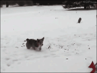 Acid Gifdump (22 gifs)