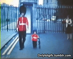 Acid Gifdump (22 gifs)