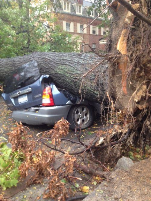 Crashes (45 pics)