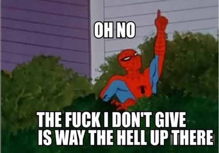 Spider-Man Meme (26 pics)