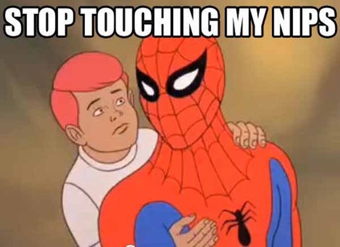 Spider-Man Meme (26 pics)