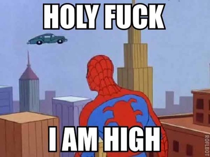 Spider-Man Meme (26 pics)