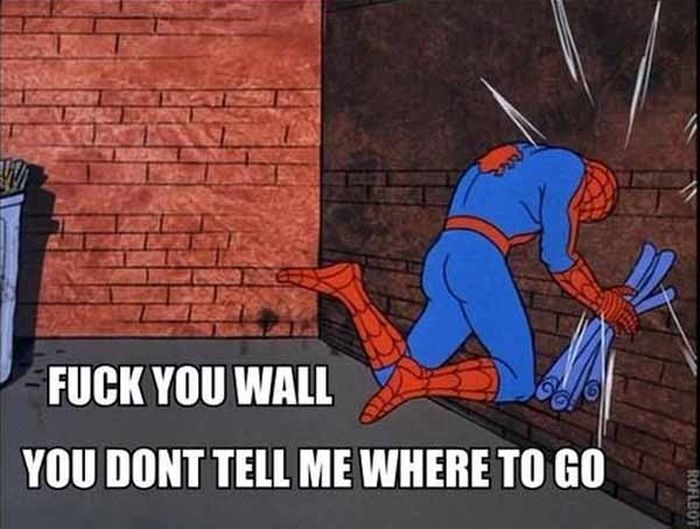 Spider-Man Meme (26 pics)