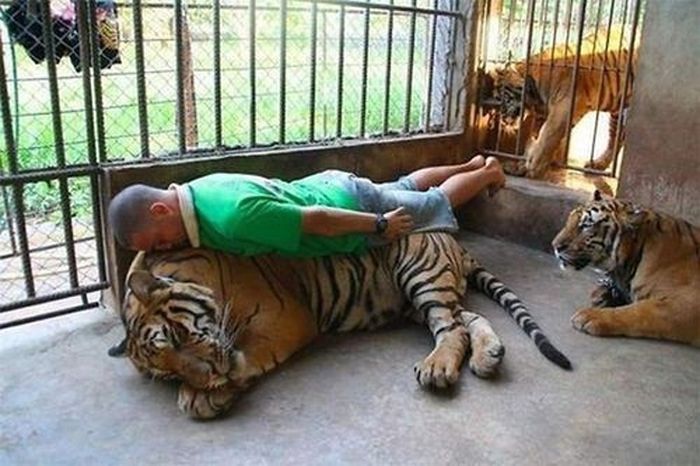 Strange People (43 pics)