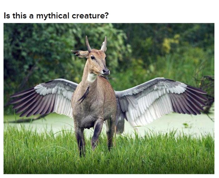 Try to Make It Through This Post Without Your Brain Melting (30 pics)